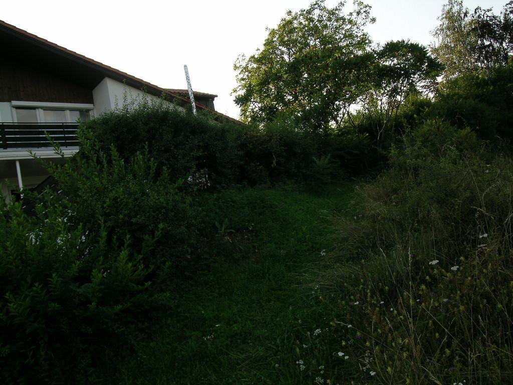 Noahs Arche Pension Pottenstein Bagian luar foto